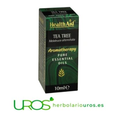 Árbol de té puro - aceite esencial puro Árbol de té puro Esencia de árbol de té