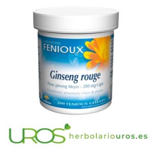 Ginseng Rojo en cápsulas - para tu vitalidad y energía Ginseng Rojo en cápsulas de lab. naturales Fenioux  Para poder rendir al máximo cápsulas de ginseng - energía que necesitas