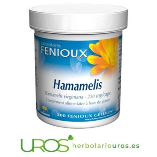 Hamamelis De Fenioux (Hamamelis Virginiana) - Remedio Natural En Cápsulas Para Las Varices Y Hemorroides Remedio Natural De Hamamelis En Cápsulas De Laboratorios Fenioux