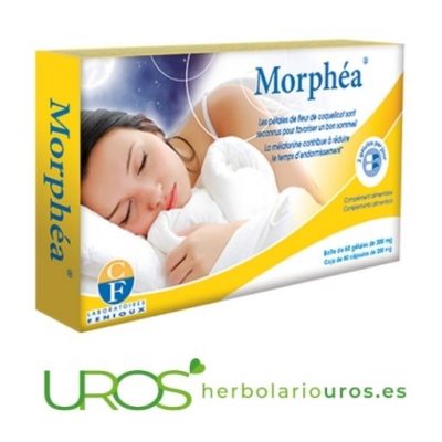 Morphea: Melatonina para dormir - ayuda en insomnio Remedio para el insomnio: Melatonina para dormir Tratamiento de insomnio - ¿Por qué no puedo dormir por las noches?