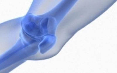 Blog de salud 12 Las propiedades de silicio orgánico: Beneficios para tu energía y salud