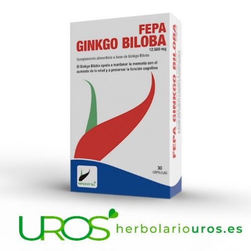 Fepa-Ginkgo Biloba cápsulas: Ginkgo Biloba en extracto Fepa-Ginkgo Biloba en cápsulas - Ginkgo Biloba puro en suplemento Remedio natural - energía de modo natural - aporte de energía extra para tu organismo
