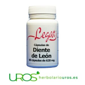 Diente de león puro en cápsulas - propiedades y beneficios Diente de león propiedades - beneficios y ventajas digestivas  Las cápsulas de diente de león puro y sus propiedades terapéuticas - un aliado natural para una mejor digestión, depurativo y diurético