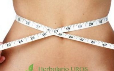 Blog de salud 17 Adelgazar de modo natural y efectivo