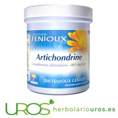 Artichondrine de Fenioux - ayuda articular natural 540 cápsulas Artichondrine de Fenioux en envase grande - 540 cápsulas Una ayuda articular natural a base de bromealina, condroitina y glucosamina - para una buena recuperación articular  