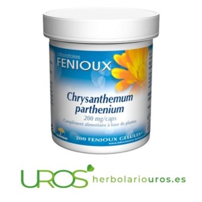 Manzanilla pura en cápsulas ayuda natural en dolores de cabeza, artritis, migrañas y una mejor digestión. Chrysanthemum Parthenium Fenioux