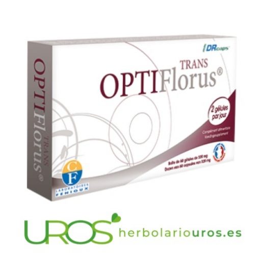 Optiflorus Trans - Una Ayuda Natural Para Tu Digestión Optiflorus Trans De Laboratorios Naturales Fenioux  Probióticos Para Una Buena Digestión