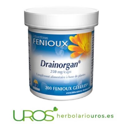 Drainorgan Fenioux: Un drenante natural Drainorgan de laboratorios naturales Fenioux - tu desintoxicante natural  Para favorecer la eliminación de líquidos - Drainorgan de Fenioux 