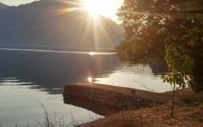 Blog de salud 3 Suplementos naturales para tu energía