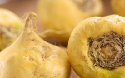 Blog de salud 8 ¿Qué es la maca? Las propiedades y beneficios de la maca