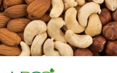 Blog de salud 15 Taurina en suplemento ¿Qué beneficios y propiedades te aporta?