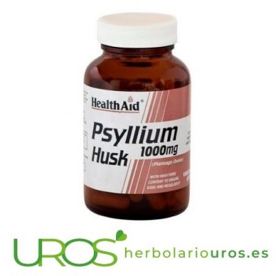 Psyllium Husk de Health Aid - Plantago Ovata en cápsulas Psyllium puro en cápsulas de Health Aid - plántago ovata en cápsulas Un suplemento para mejorar tu digestión naturalmente - fibra pura de la cáscara de la planta de Psyllium (Plantago Ovata)