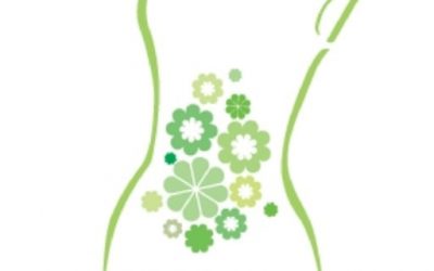 Blog de salud 6 Probióticos: ¿Qué son los probióticos?