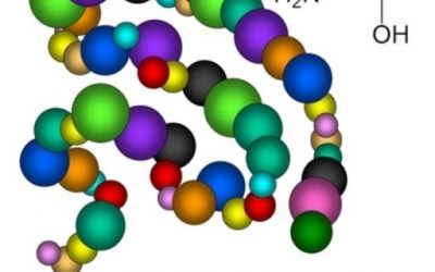 Blog de salud 13 ¿Qué significa quelado? ¿Que son los suplementos quelados?