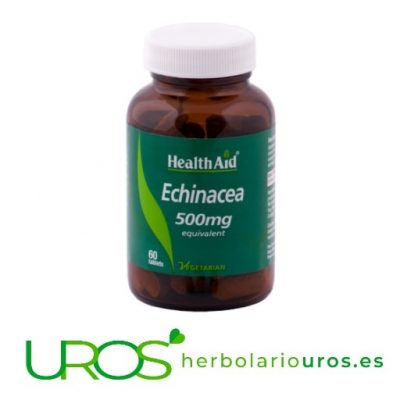 Equinacea en cápsulas Health Aid - mejora tu sistema inmune Equinácea pura de HealthAid en cápsulas para tus defensas Comprimidos de Equinácea (Echinácea) pura (de lab. naturales Health Aid) para mejorar tus defensas y ayudarte a tener un sistema inmunitario fuerte naturalmente