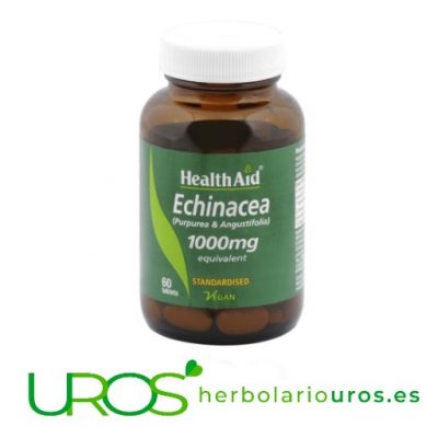 Equinácea en cápsulas de 1000 mg de lab. naturales Health Aid Combinación de Equináceas de 1000 mg de lab. naturales Health Aid Un suplemento para subir tus defensas de manera efectiva y natural - dosis elevada de 1000 mg de Echinácea