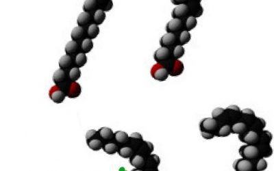 Blog de salud 3 Omega 3 propiedades ¿Qué beneficios tiene el Omega 3?