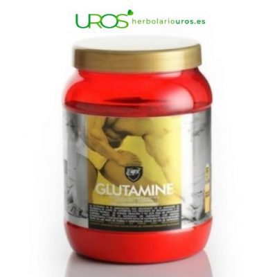 Glutamina en polvo: Beneficios para tus musculos y memoria Glutamina pura en polvo en envase grande de 500 gramos Todas las propiedades y beneficios de la L-Glutamina como complemento natural
