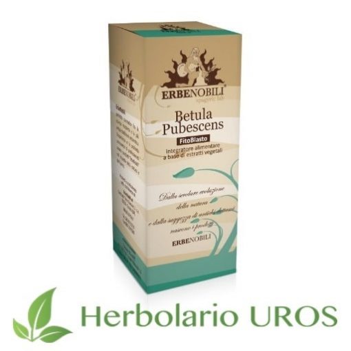 Betula Pubescens - abedul lanoso en tintura de laboratorios Erbenobili - un remedio espagírico desintoxicante, diurético y tonificante.