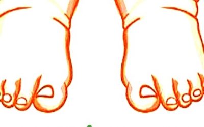 Blog de salud 4 Antiinflamatorios naturales más potentes