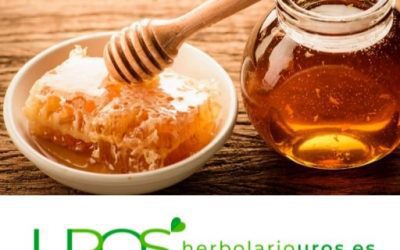 Blog de salud 3 ¿Cómo conocer una buena miel?