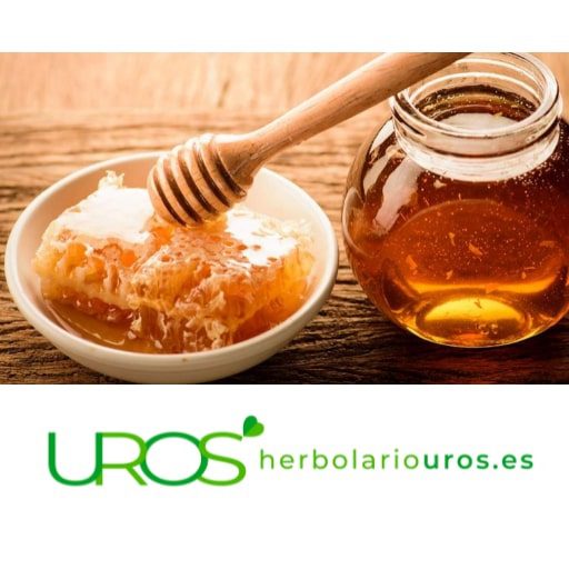¿Cómo conocer una buena miel? Descubre todos los trucos