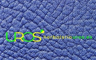 Blog de salud 19 Argiria – ¿Qué es la argiria?