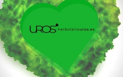 Blog de salud 11 Ubiquinol Q10: Propiedades y beneficios