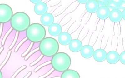 Blog de salud 13 Vitamina C Liposomada