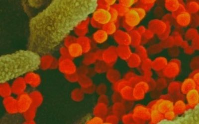 Blog de salud 18 Corona virus sintoma : Síntomas del coronavirus