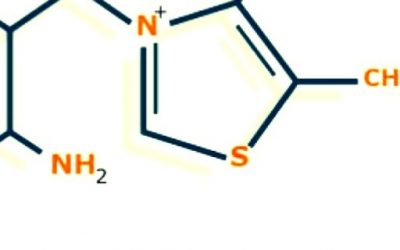 Blog de salud 5 Falta de Vitamina B12