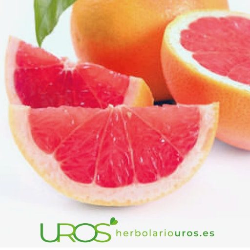 Alimentos con vitamina C frutas y verduras ricas en vitamina C Vitamina C: alimentos que la contienen Descubre las propiedades de la vitamina C y los beneficios que tiene para tu sistema inmune y el sistema articular