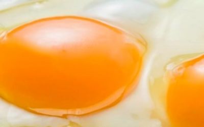 Blog de salud 17 Alimentos con vitamina D