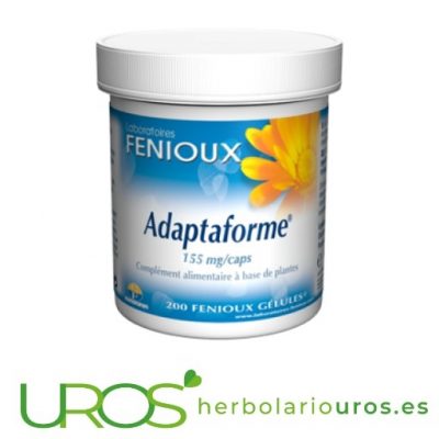 Adaptaforme Feniuox: Rhodiola con Eleuterococo Adaptaforme es un remedio natural adaptógeno - ayuda a tu organismo a adaptarse a diferentes tipos de estrés físico o psíquico También puede ayudar y aumentar las capacidades mentales y físicas