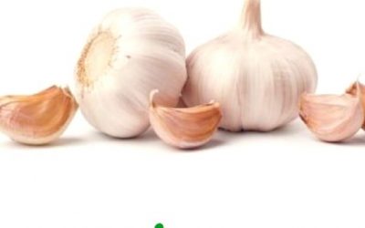 Blog de salud 10 Ajo propiedades y beneficios: Descubre sus ventajas