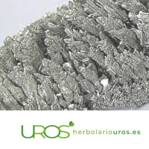 Magnesio ¿Para qué sirve? Descubre sus propiedades y beneficios