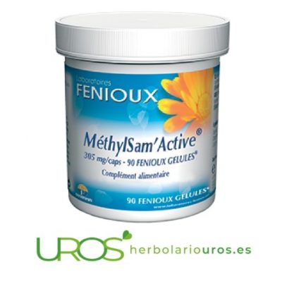 MethylSam Active de lab. naturales Fenioux Methyl Sam Active de laboratorios Fenioux Remedio natural para tu sistema nervioso: Methyl Sam Active de lab. naturales Fenioux