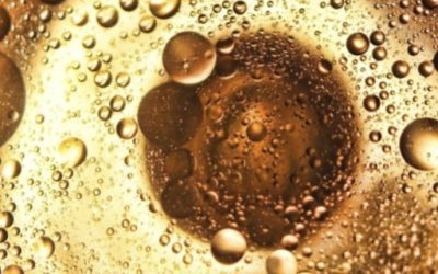 Blog de salud 8 Plata coloidal contraindicaciones