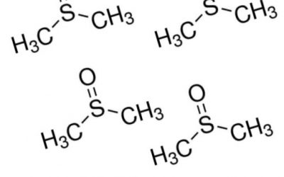 Blog de salud 5 DMSO usos y aplicaciones