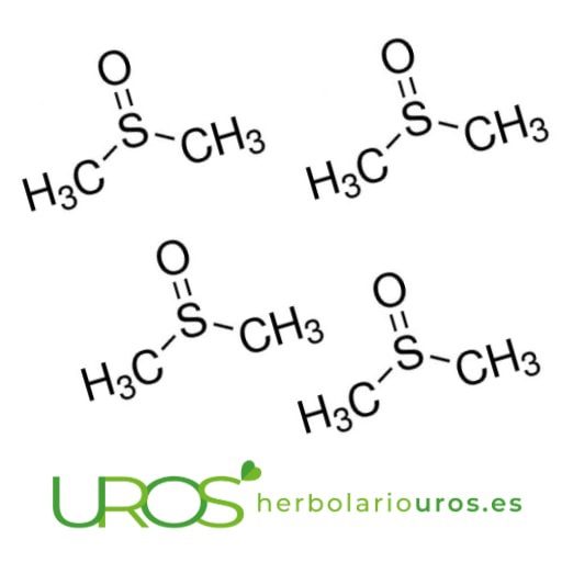 DMSO usos y aplicaciones Descubre todas las propiedades de DMSO DMSO usos y aplicaciones - descubre todos los beneficios del DMSO - cómo se usa y las precauciones que debes tener.