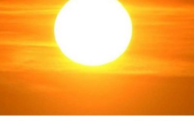 Blog de salud 4 Alimentos ricos en vitamina D