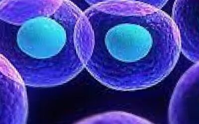 Blog de salud 3 Antiangiogénico ¿Qué es? ¿Que significa antiangiogénico?
