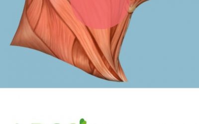 Blog de salud 7 Remedio natural para tu tos y dolores de garganta