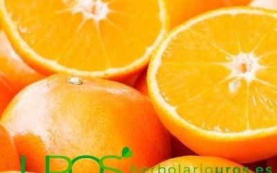 Comprar vitamina C pura ¿Cuál es la mejor opción?