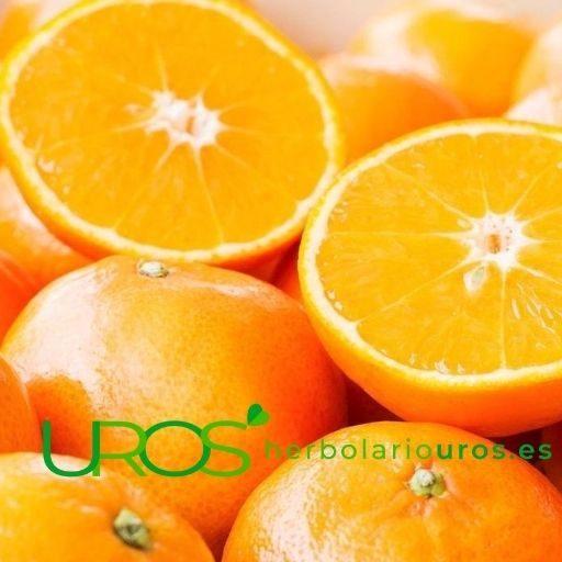 Comprar Vitamina C pura - ¿Cuál es la mejor vitamina C? ¿Cuál es la mejor opción? ¿Qué vitamina C es la que más se absorbe?
