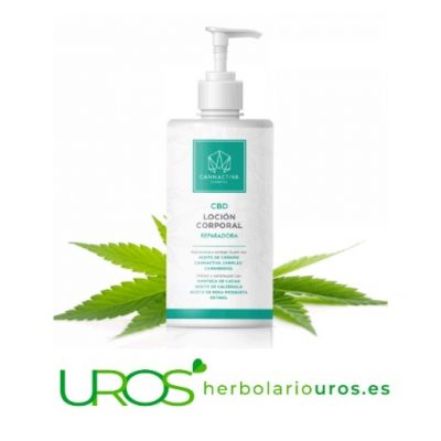 Loción corporal con CBD - tu loción para una piel más joven y elástica Loción corporal reparadora con CBD Loción a base de manteca de cacao, caléndula, rosa mosqueta y retinol (es decir la vitamina A), loción para nutrir tu piel naturalmente