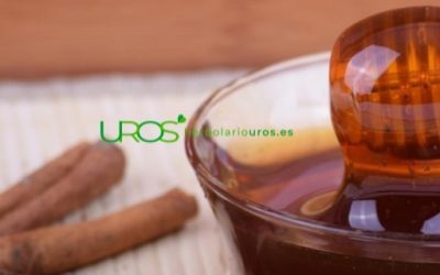 La miel con canela: Beneficios para tu respiración