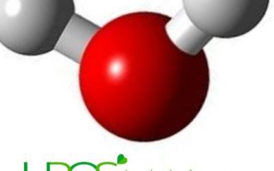 Aminoquelado: Mineral aminoquelado ¿Qué siginfica?