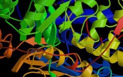 Helicobacter Pylori tratamiento alternativo: Tratamientos naturales