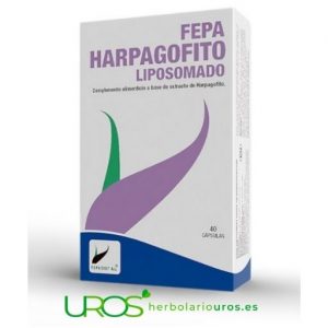 Fepa Harpagofito Liposomado en OFERTA Cápsulas de Harpagofito liposomadas - Tu alivio natural La planta de harpagofito te aporta propiedades antiinflamatorias, antirreumáticas y analgésicas